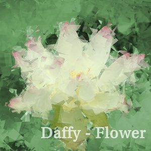 Daffy (대피)