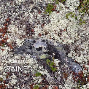 Traces, Audible, Turkey, Ankara, Sustained Rain and Prayer Calls Recorded from an Open Window, 14 December 2008