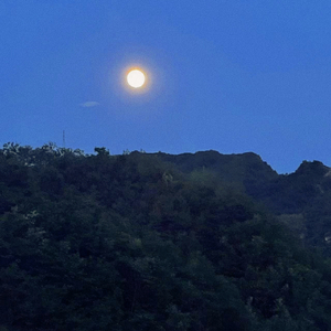 疲惫的爱（小提琴版）