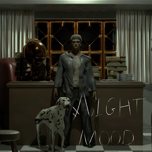 NIGHT MOOD