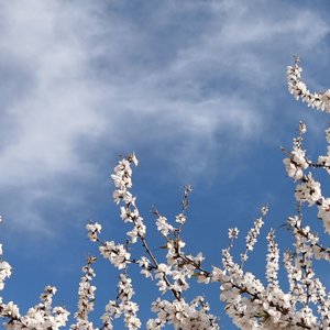 何时止损（prod by FRESH_ye）