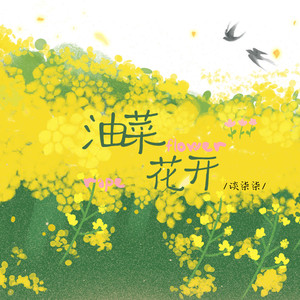 油菜花开