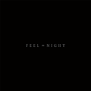 Feel the Night
