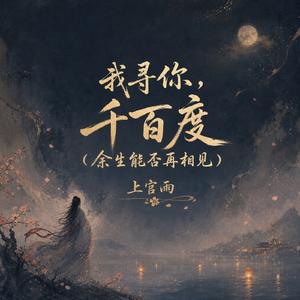 我寻你，千百度(余生能否再相见)