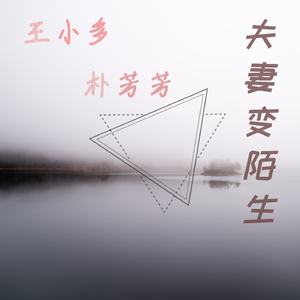 夫妻变陌生 (伴奏)