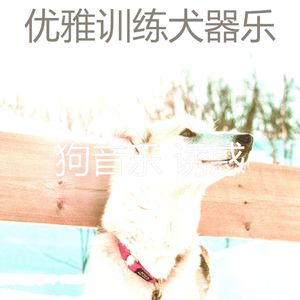 微妙的训练犬心情