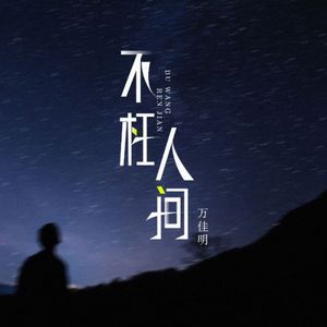 不枉人间 mix 伴奏