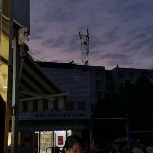 我本将心照明月