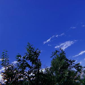 I THINK (Prod.by Xxankid)