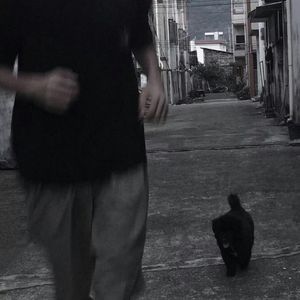 【已售断】见一面