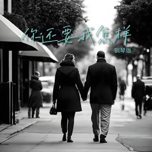 你还要我怎样 (钢琴版)