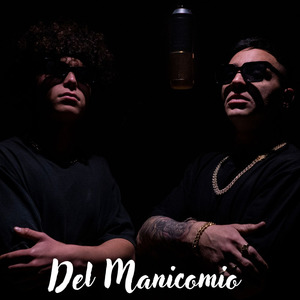 Del Manicomio