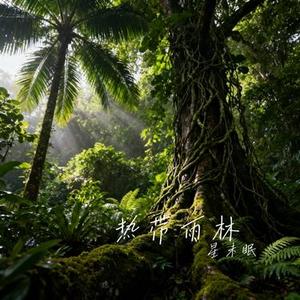 热带雨林 (Cover 陈奕迅)