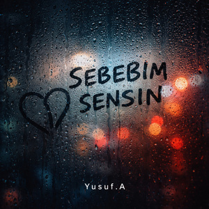 Sebebim Sensin