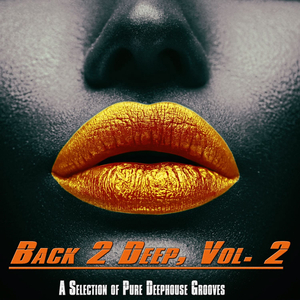 The River Siren (Funk'n'disco Mix)