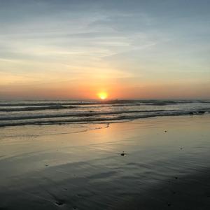 All is Fine in this Pantomime