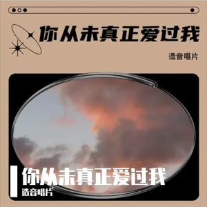 你从未真正爱过我
