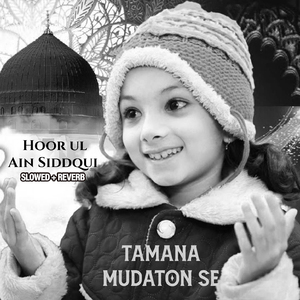 Tamana Mudaton Se (Lofi-Mix)