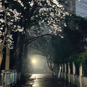 3月1日(1)