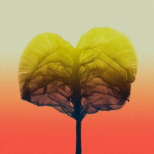 Citrus