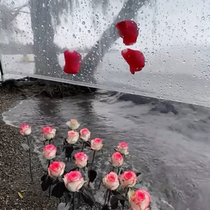 忘不了的那个她