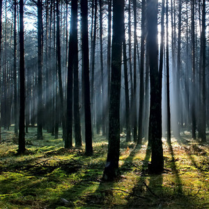 泥のように眠れる睡眠BGM・ASMR・本物の換気扇
