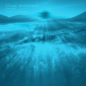 Forest (Slowed + Reverbed)