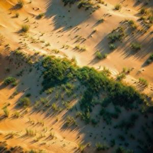 Yeşeriyo Çöller (feat. SADO)