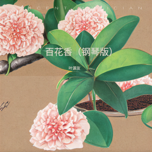 百花香（钢琴版）