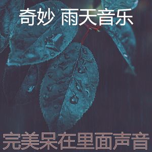 温和雨天梦想