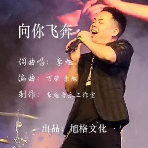向你飞奔
