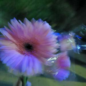 这是一首表白的歌(Prod By ATTBeat)