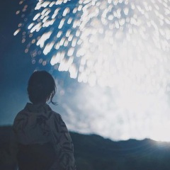 蝴蝶怎么飞 (DJ版)