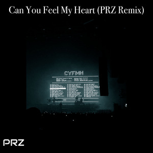 Can You Feel My Heart? (Remix)