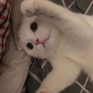 爱情慢慢来
