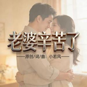 老婆辛苦了