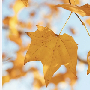 姚国霞-偏偏喜欢你2-20221124.mp3