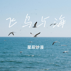 飞鸟与海
