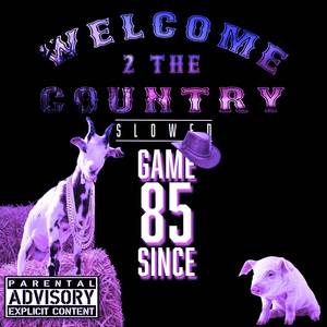 Welcome 2 The Country (Slowed)