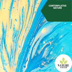 Gentle Beach Winds at Dawn