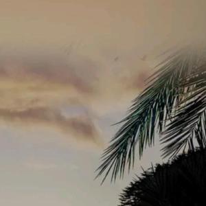 Orang Ketiga Fyp (Cover)