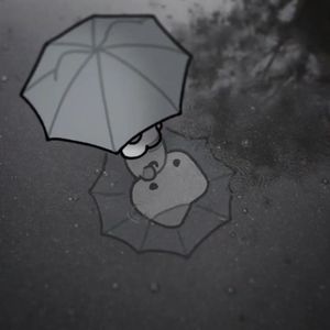 花，泪，臆想(Flowers, tears, conjecture)