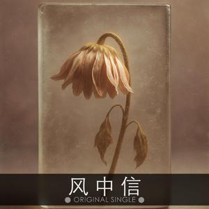 风中信
