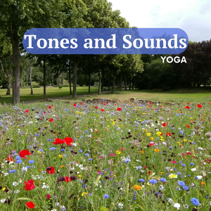 Everything Reminds Me of You