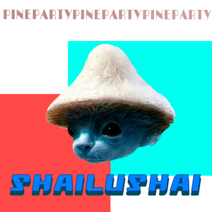 Шайлушай