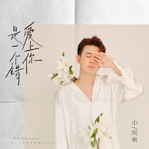爱上你是一个错 (伴奏)