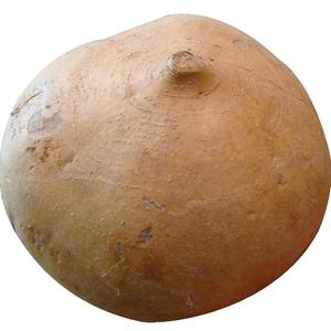 I'll Bring The Jicama (Demo)