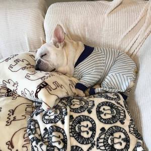 The Sound of Silence