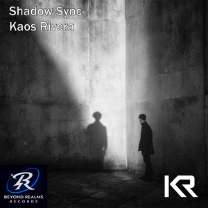 Shadow Sync