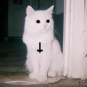 Kızma Matmazel (Slowed & Reverb)